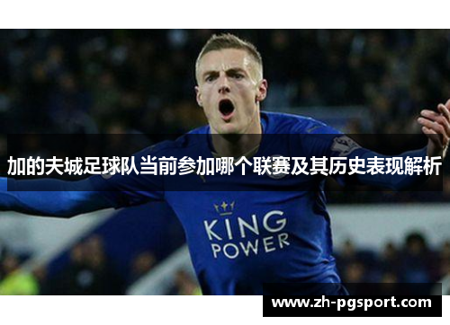 加的夫城足球队当前参加哪个联赛及其历史表现解析 加的夫城足球队当前参加哪个联赛及其历史表现解析