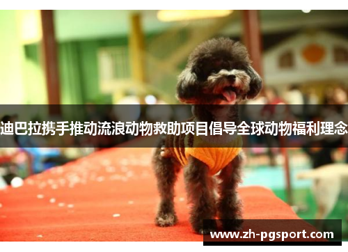 迪巴拉携手推动流浪动物救助项目倡导全球动物福利理念