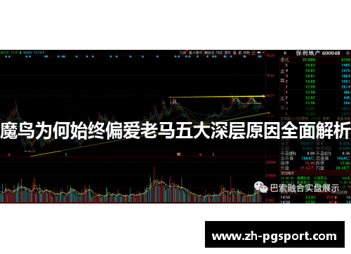 魔鸟为何始终偏爱老马五大深层原因全面解析