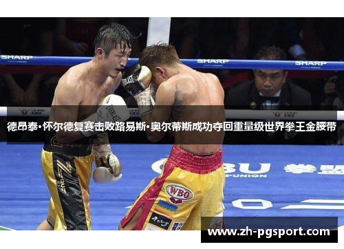 德昂泰·怀尔德复赛击败路易斯·奥尔蒂斯成功夺回重量级世界拳王金腰带 德昂泰·怀尔德复赛击败路易斯·奥尔蒂斯成功夺回重量级世界拳王金腰带