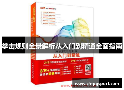 拳击规则全景解析从入门到精通全面指南